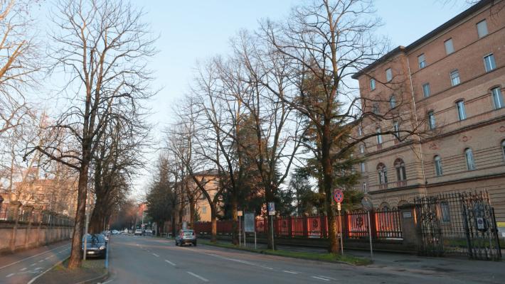 Bicicletta travolta da un camion in viale San Martino: un ferito 