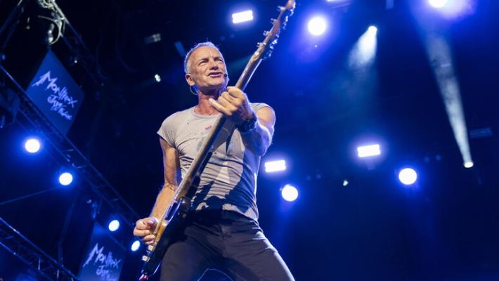 sting
