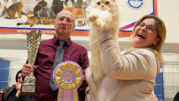 E' di Serravalle il gatto campione del mondo