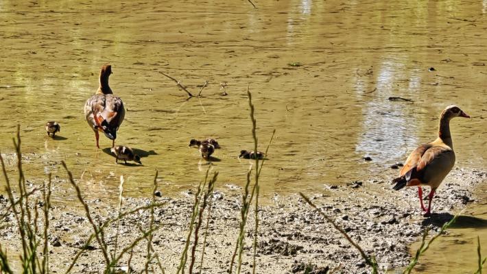 Lieto evento al Parco Ducale