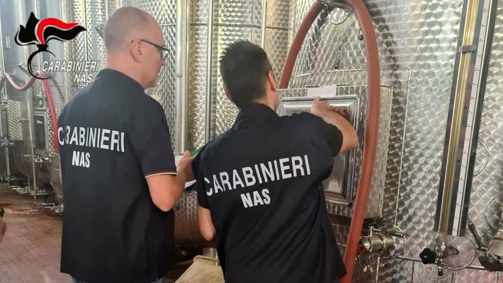 Carabinieri nas Parma: controlli nel settore vitivinicolo: sequestri e sanzioni nella bassa modenese e in Val Tidone