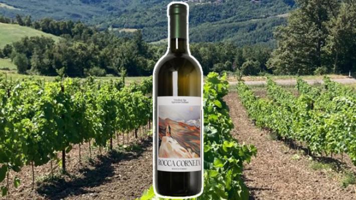 Viticoltori Alto Appennino Emiliano Rocca Corneta fermo '24. Vitigno Piwi, al naso florealee fragrante al sorso.