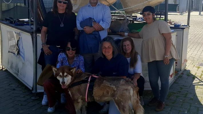 Rinnovato il team di veterinari a servizio del Polo Animali di Affezione del Comune di Parma