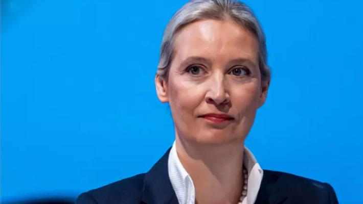 Perché la Germania vuol fermare l'ultradestra