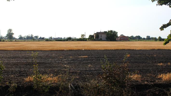 Incendio in un campo a Roccabianca, salvata una cabina elettrica: è il secondo in pochi giorni