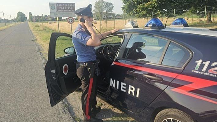 I carabinieri di San Secondo  identificano il presunto autore di quattro furti commessi in danno di una piscina della bassa. Denunciato 18enne straniero