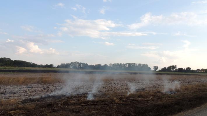 Pieveottoville, incendio in un campo incolto: vigili del fuoco in azione