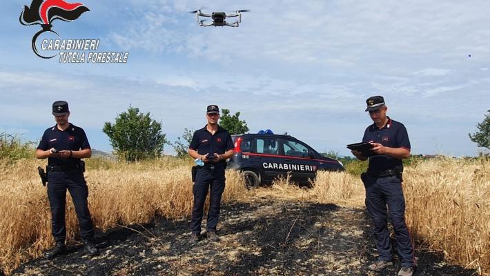 Individuato il presunto responsabile di un incendio boschivo colposo. Rischio di sanzioni per abbruciamenti di residui vegetali effettuati senza le necessarie comunicazioni