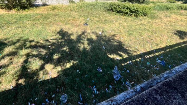 Rifiuti nel Lungoparma, "maleducazione inaccettabile"