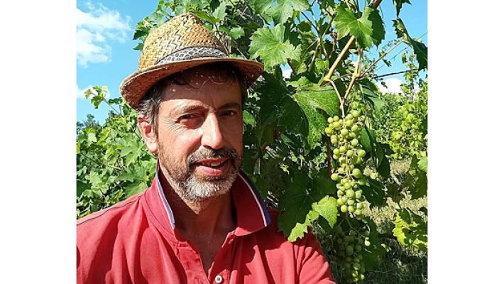 Bossi   «Addio alle Poste: ho preferito il mio vigneto»