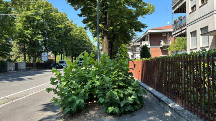 Via Sidoli, per passare sul marciapiede "serve Tarzan"