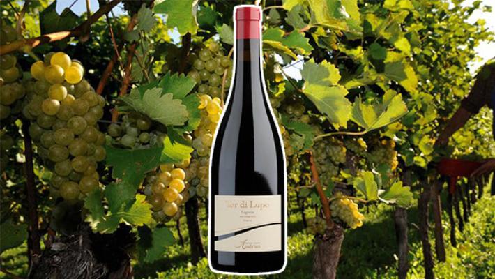 Cantina Andriano Tor di Lupo Lagrein Riserva 2022 - Naso voluttuoso di frutti rossi e neri, dal sorso vellutato 