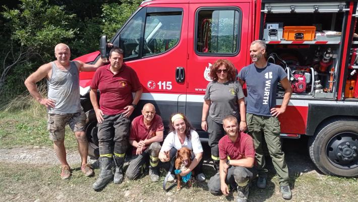 Un cane cade in una feritoia: lungo intervento dei vigili del fuoco di Borgotaro per recuperarlo 