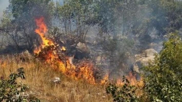I volontari parmigiani a Boscotrecase «Noi, sul Vesuvio nell'ultima battaglia con il grande rogo»