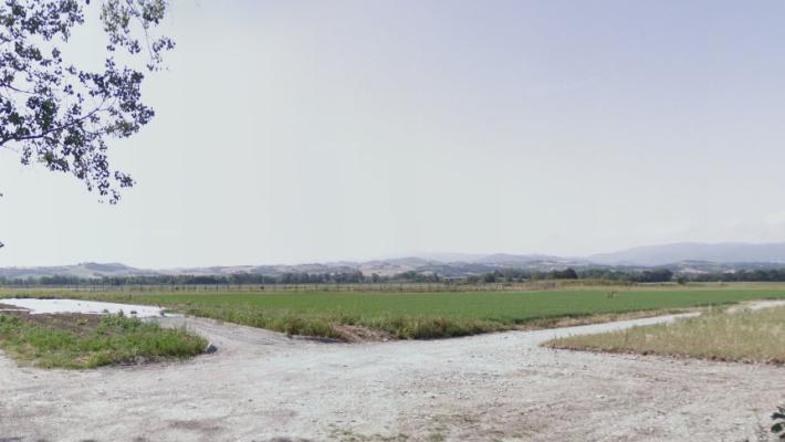 Paura al maneggio di Medesano: persona cade da cavallo, ricoverata a Fidenza