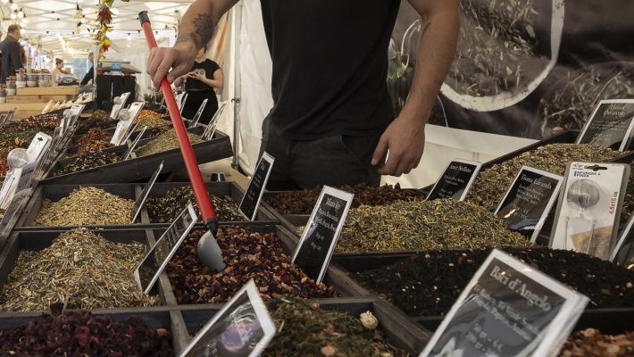 Modifica alla viabilità in Via Verdi e Via Magnani per manifestazione denominata “Mostra mercato regioni d’Europa”