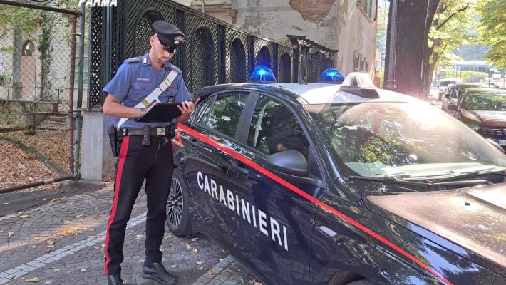 Prima lo pedina al parco e poi gli strappa di mano il cellulare. Rincorso dalla vittima la minaccia con un coltello per garantirsi la fuga. Identificato e denunciato 21enne straniero