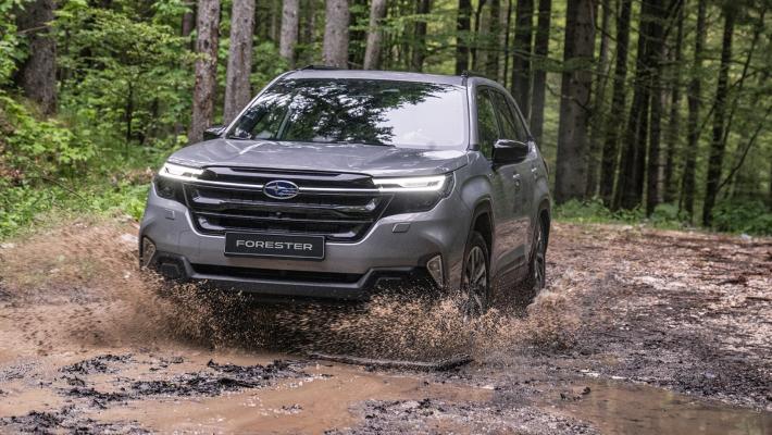 Forester, l&rsquo;alternativo. Da Subaru un Suv che sposa l&rsquo;ibrido, ma resta originale