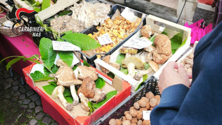 Sequestri e sanzioni in val di taro per irregolarità nella vendita di prodotti alimentari