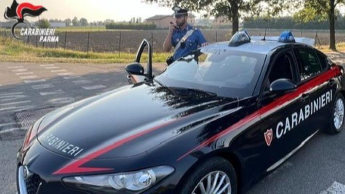 Fidenza: borseggia una donna mentre fa shopping in un negozio d’abbigliamento. 30enne dell’est Europa denunciata per furto 