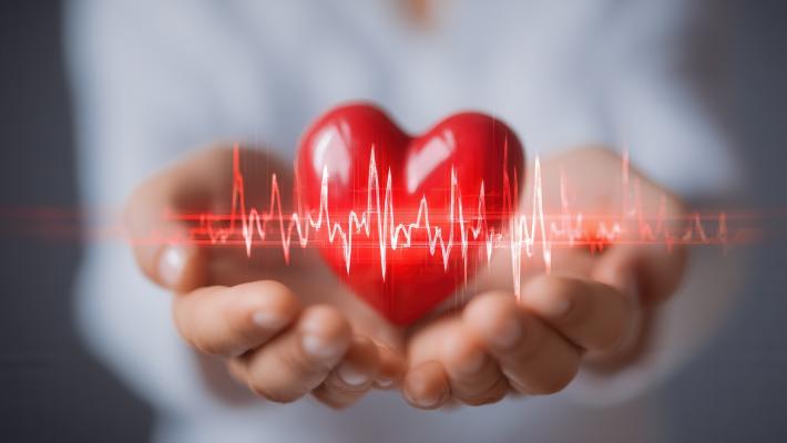 Arterie al microscopio: l'ecg «modificato» che intercetta le placche coronariche