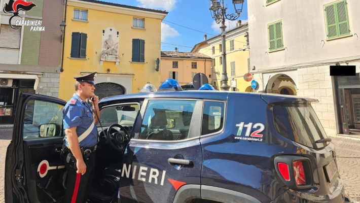 San Secondo Parmense: aggredisce l’avventore di un bar danneggiando anche la sua bicicletta parcheggiata all’esterno poi si scaglia contro i carabinieri intervenuti. Arrestata 40enne di origine strani