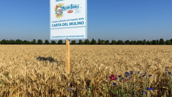 Mulino Bianco, arriva il nuovo Buongrano: piacere del gusto e attenzione per la terra