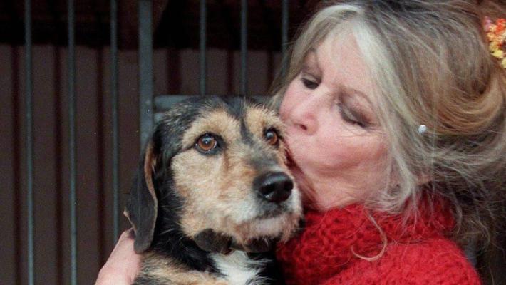 Brigitte Bardot all'ospedale da tre settimane: "Condizioni preoccupanti"