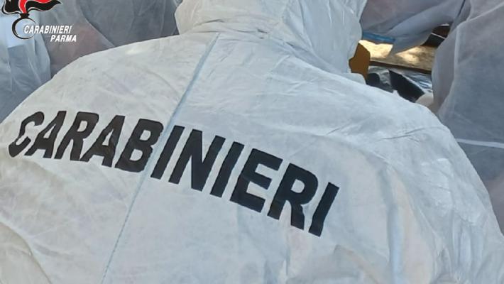 Fontevivo: era stato sorpreso a rubare in casa di una coppia e li aveva aggrediti con schiaffi e morsi per riuscire a scappare. 44enne dell’est europa denunciato per rapina identificato grazie al d.n.