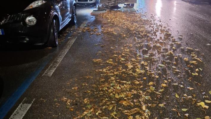 Raccolta foglie in città: 15 squadre al lavoro, di cui due notturne 