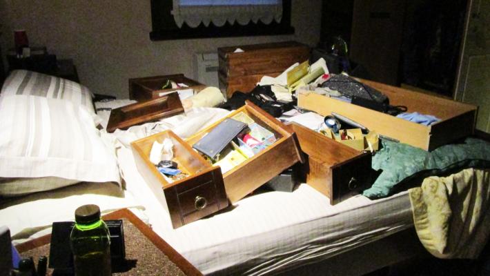 Ancora furti nella Bassa