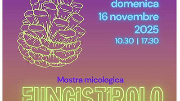 "Fungistirolo", oggi la mostra micologica in parco Bizzozzero