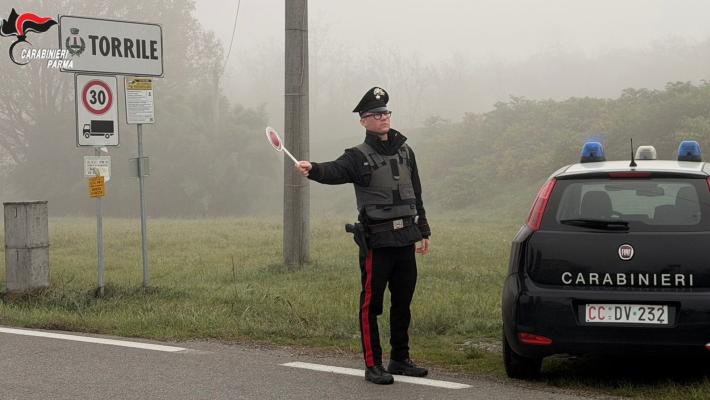 Torrile: a seguito della conferma della cassazione i carabinieri arrestano 50enne condannato alla pena di 3 anni 6 mesi e 20 giorni. 