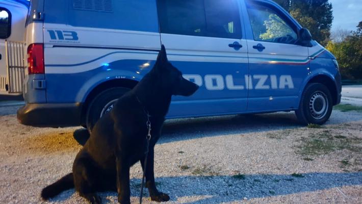 Sicurezza urbana: resoconto dei controlli ordinari e straordinari della settimana