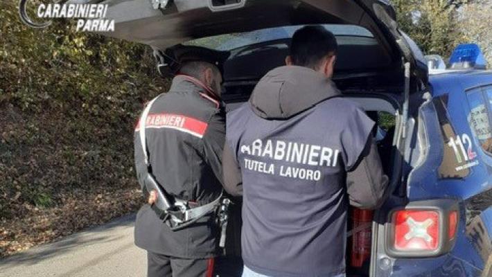 Aveva due dipendenti "in nero": commerciante di Salsomaggiore denunciato, multe per oltre 12mila euro 