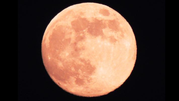 Da stasera e per almeno tre sere lo spettacolo della superluna del lupo