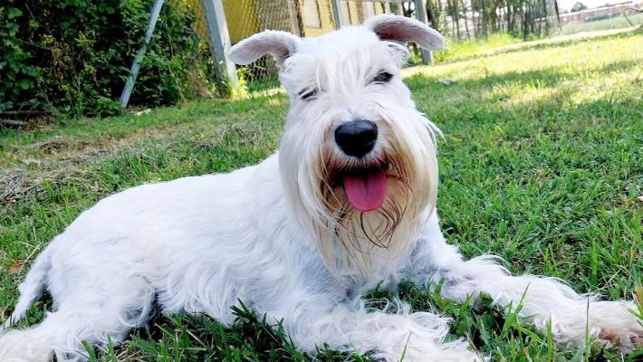 Blanca, dalle gare di bellezza all'adozione di una famiglia