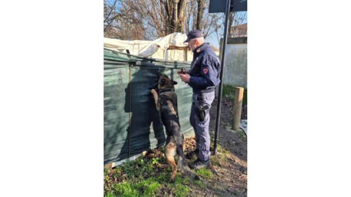 Operazione Parma Sicura - Attivit&agrave; svolta dal 15 al 23 gennaio