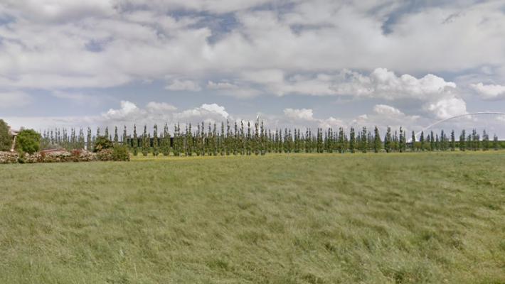 Si schianta col parapendio nel cortile della sede di Max Mara, ricoverato in gravi condizioni al Maggiore