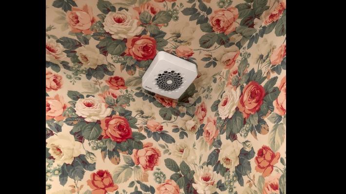 &laquo;D.U.S #29&raquo;