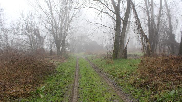 Cadavere trovato nella golena del Po: avanza l'ipotesi di un gesto estremo 