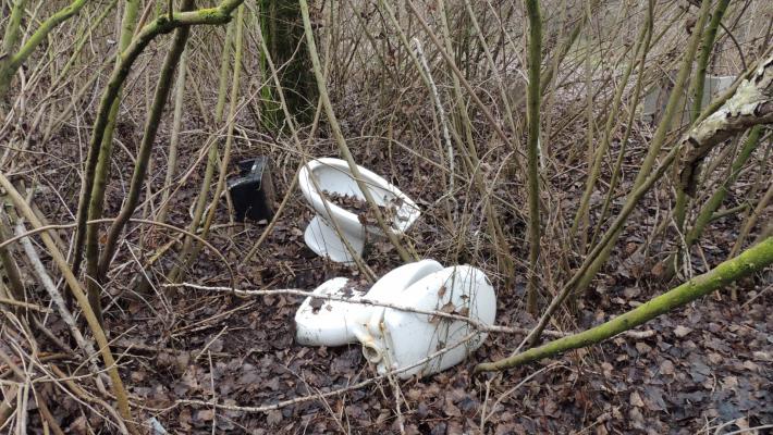 Sanitari gettati nella zona di protezione speciale golena del Po