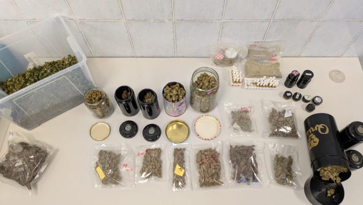 Fiori, piante e...marijuana: smantellato a Colorno il "laboratorio della droga" di un vivaista 