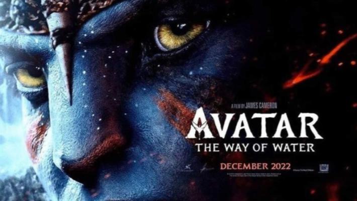 Parma, il cinema riparte (adagio):  dopo l'anno orribile torna un po' di luce