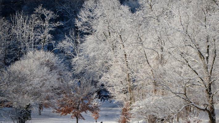 Dalla vigilia di Natale inverno gelido sull'Italia