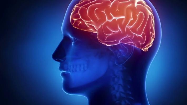 Il cervello viaggia veloce anche a 60 anni