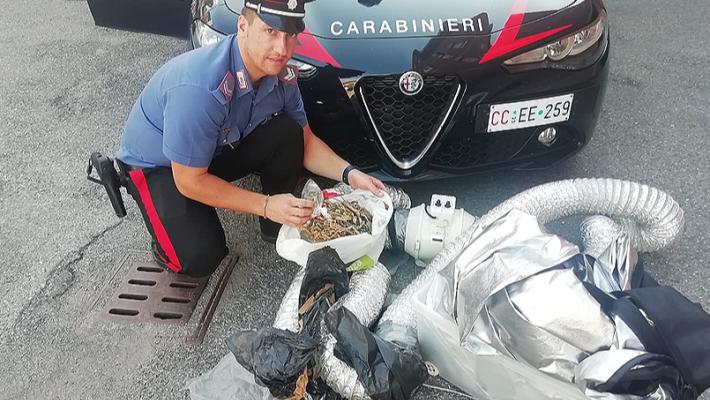 Servizi antidroga: un arresto e segnalazioni