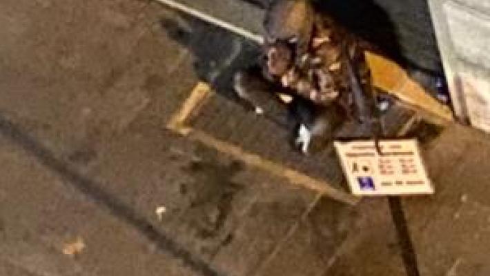 Via Garibaldi: il clochard è di nuovo davanti alla vetrina. Però non ha più materasso e  coperta