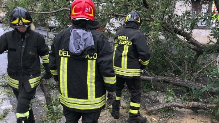 Sala Baganza, il forte vento abbatte un albero in via Olmo: vigili del fuoco in azione. Segnalazioni anche in città