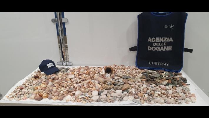 Spiagge sarde depredate, 700 conchiglie in valigia